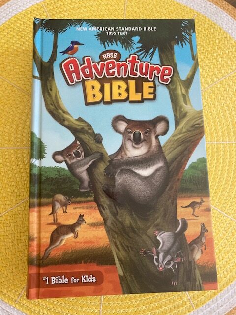 NASB Adventure Bible